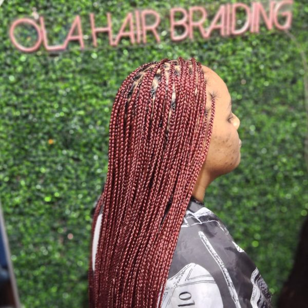 Small Knotless Braids